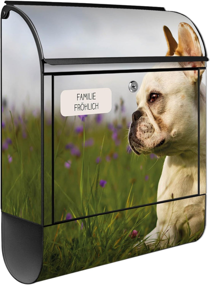 banjado® Design Briefkasten personalisiert Motiv Französische Bulldogge 39x47x14 &amp; 2 Schlüssel - Bri