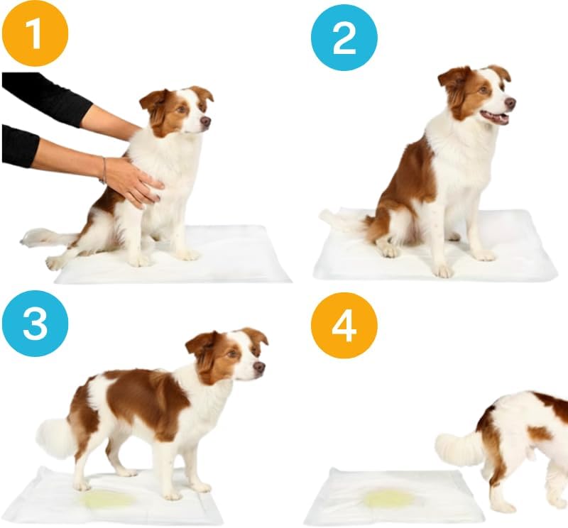 Welpenunterlagen 60x90 cm, Trainingspads für Hunde, 50 Stück, Auslaufsicher und Strapazierfähig mit