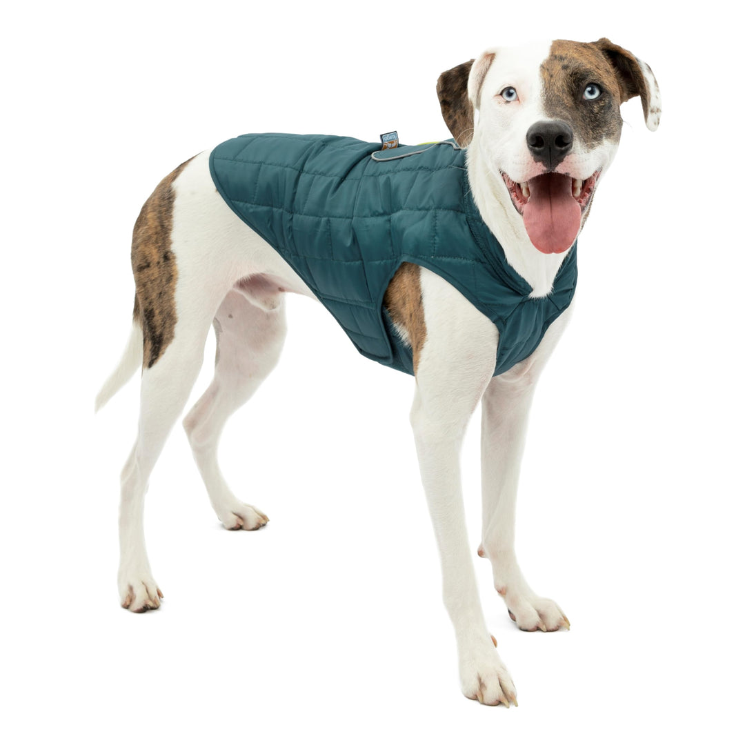Kurgo Loft Hundejacke, Mit Hundegeschirr kombinierbar, Wasserdicht und reflektierend, Ideal für den