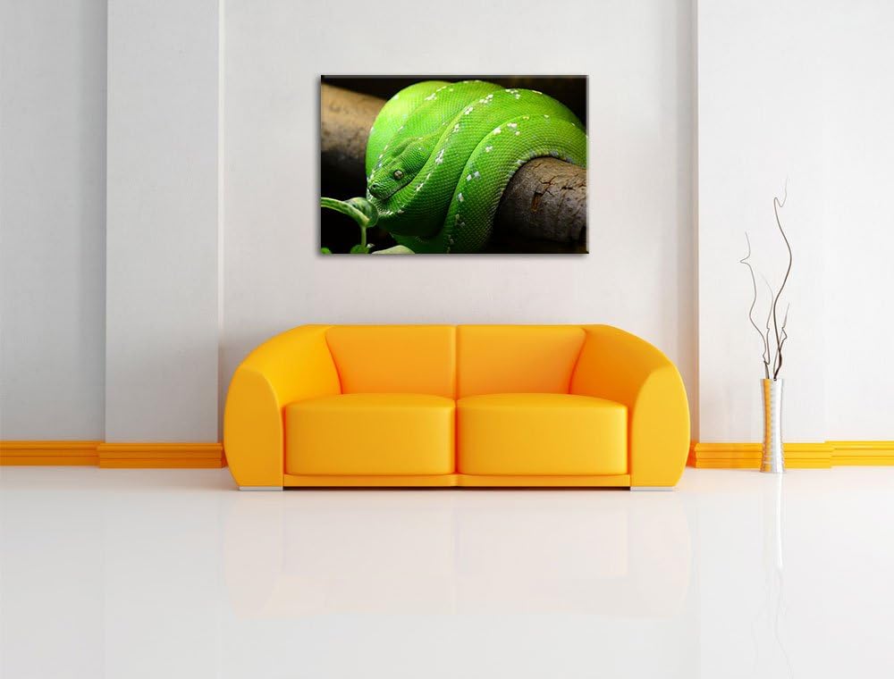 Grüne exotische Schlange, Format: 100x70 auf Leinwand, XXL riesige Bilder fertig gerahmt mit Keilrah