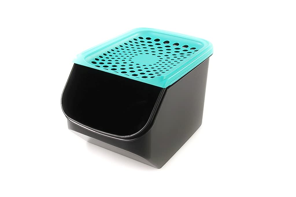 Tupperware Zwiebel-Lager 5,5 L schwarz türkis Zwiebellager A168 Zwiebelmeister 38108