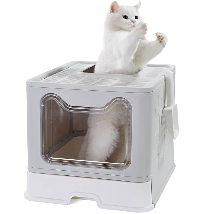 Pawsayes Katzentoilette, Faltbar Katzenklo mit Deckel Inklusive Scoop, Grosse Kapazität Leicht zu Re