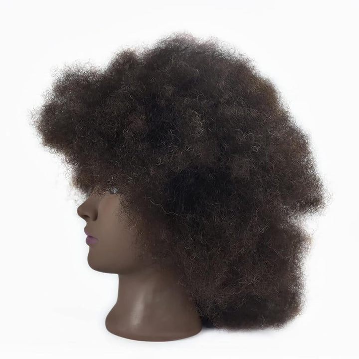 Tcwuzick Ausbildung Kopf African American mit 100% Echthaar Schaufensterpuppe Kopf Kosmetologie Afro