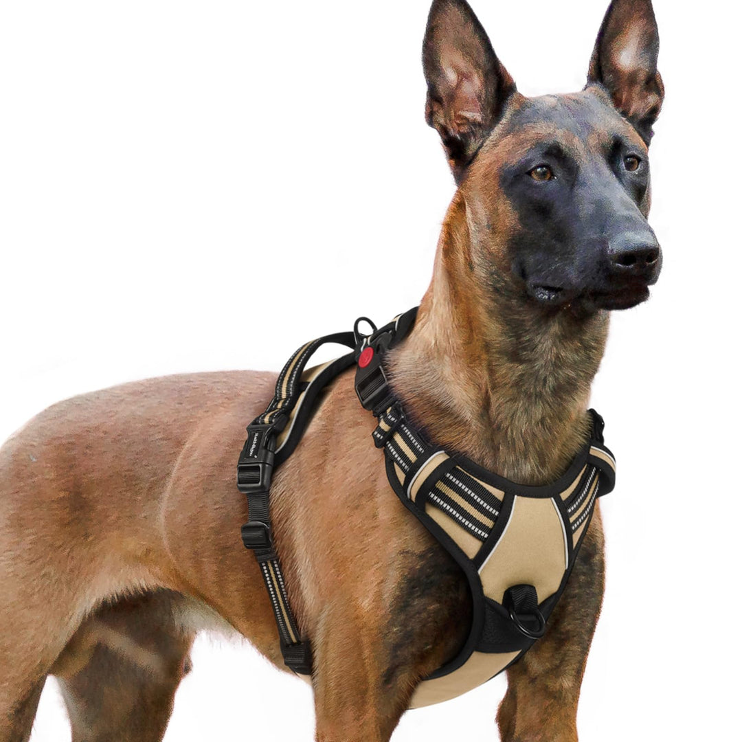 rabbitgoo Hundegeschirr Grosse Hunde, Verstellbare Geschirr Hund ohne Zug &amp; Würgen, Anti Zug hundege