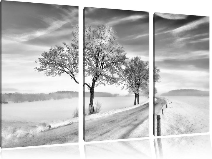 Pixxprint Baum im Schnee als Leinwandbild/Grösse: 3 Teilig (120x80) / Wandbild/Kunstdruck/fertig bes
