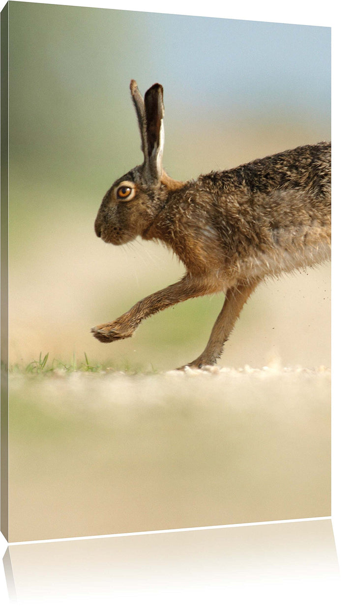 Pixxprint Hüpfender Hase, Format: 100x70 auf Leinwand, XXL riesige Bilder fertig gerahmt mit Keilrah
