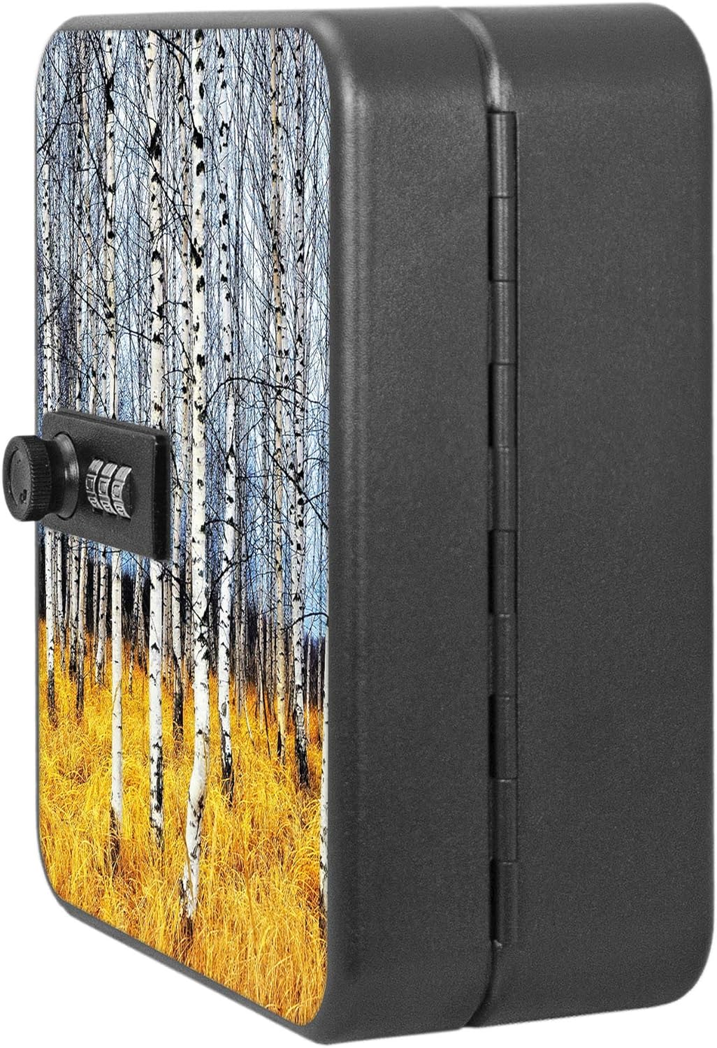 banjado® Burg-Wächter® abschliessbarer Schlüsselkasten mit Motiv Birkenhain für 20 Schlüssel - Schlü