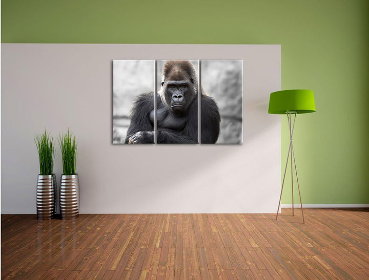 Pixxprint gelangweilter Gorilla als Leinwandbild/Grösse: 3 Teilig (120x80) cm/Wandbild/Kunstdruck/fe