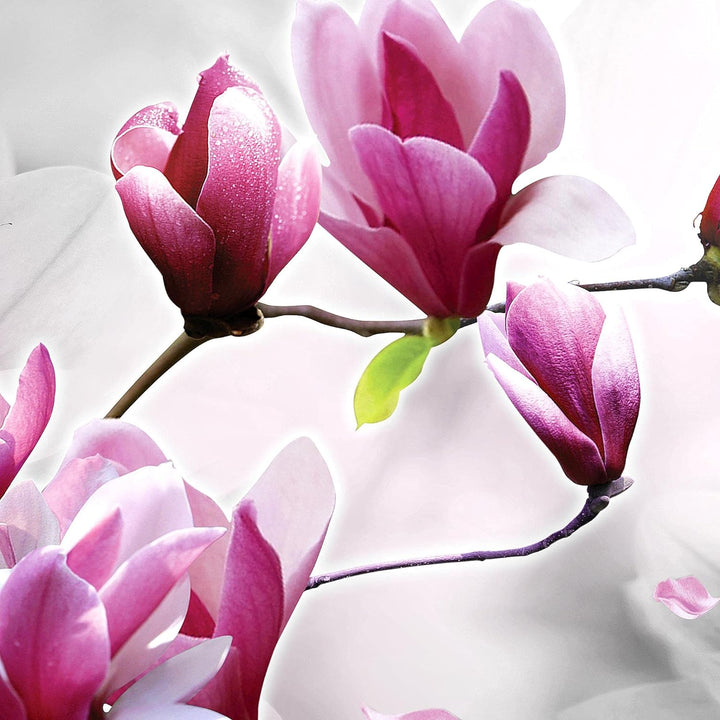 Runa Art Wandbilder Blumen Magnolien 5 Teilig Bild auf Vlies Leinwand Deko Wohnzimmer Schmetterling