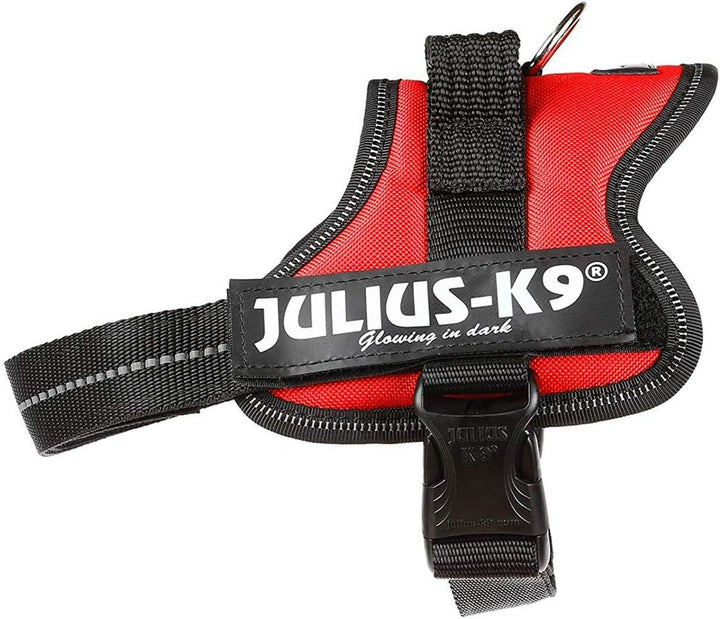 K9 Powergeschirr, Grösse: XS/Mini-Mini, Aquamarine Anthrazit M/0, Anthrazit M/0