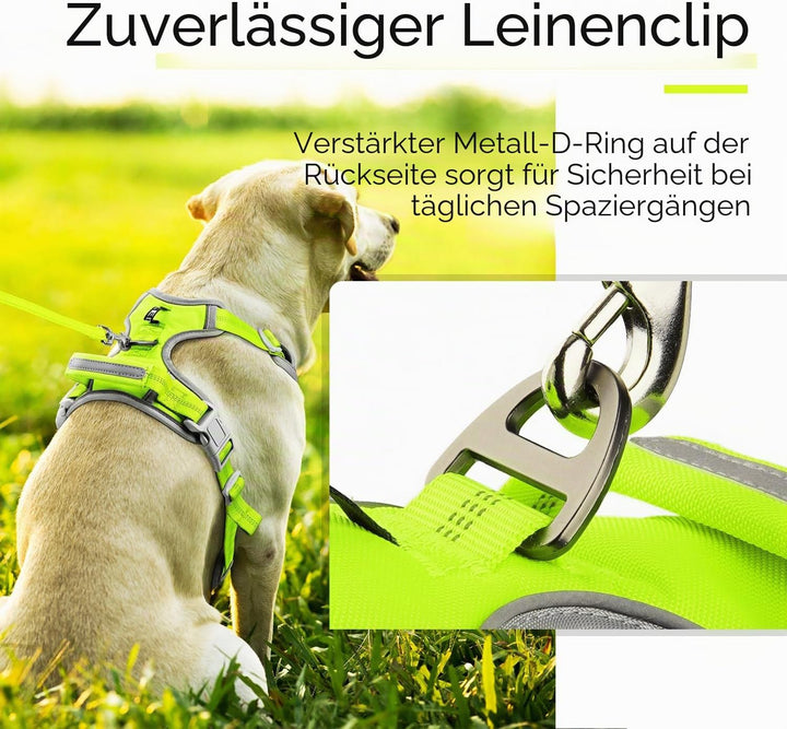 ThinkPet No-Pull Hundegeschirr, Atmungsaktiv Brustgeschirr für Kleine Mittlere Grosse Hunde, Einstel