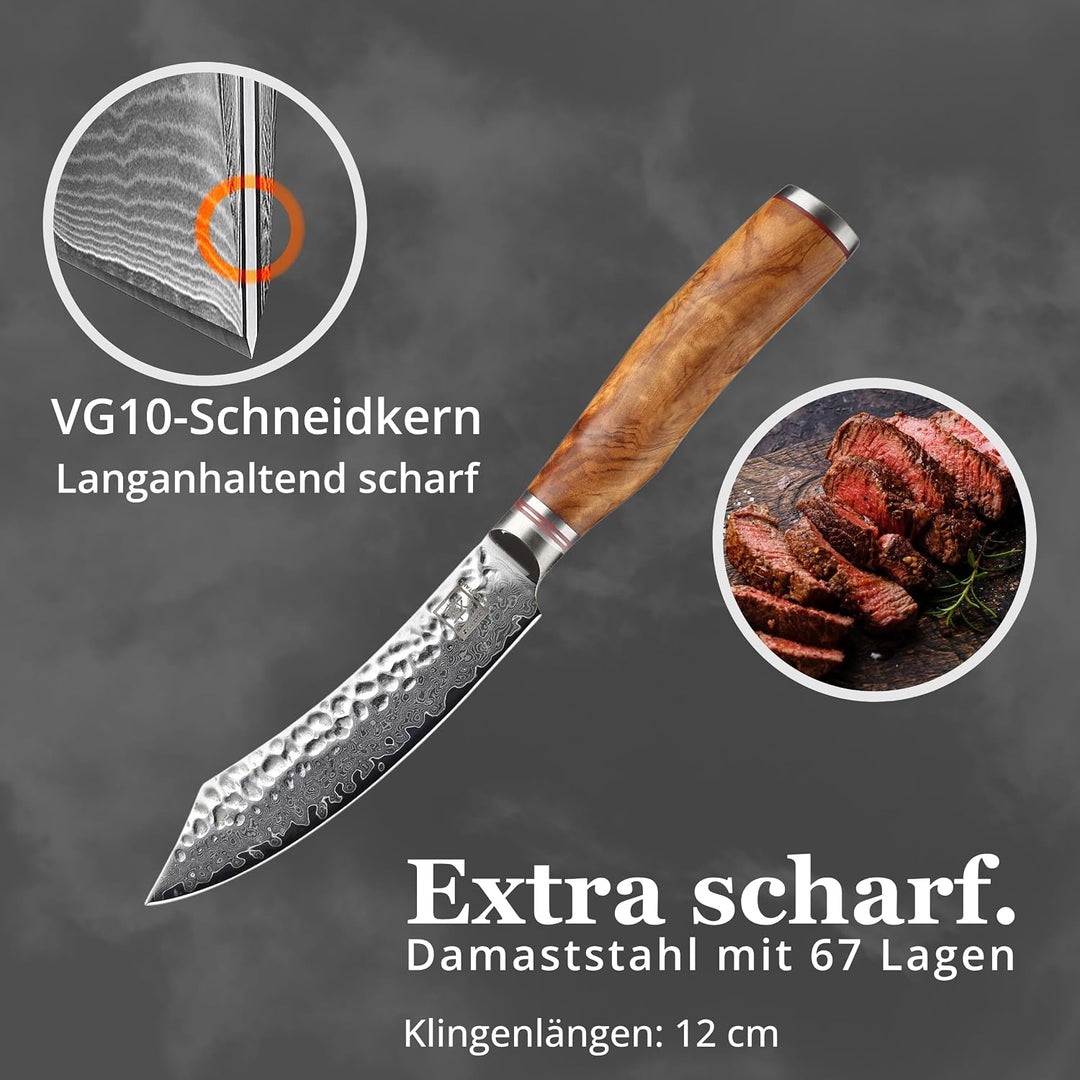 zayiko Minami Damast Steakmesser mit 12 cm Klinge aus 67 Lagen Damaststahl, VG10 Kern, Hammerschlag,
