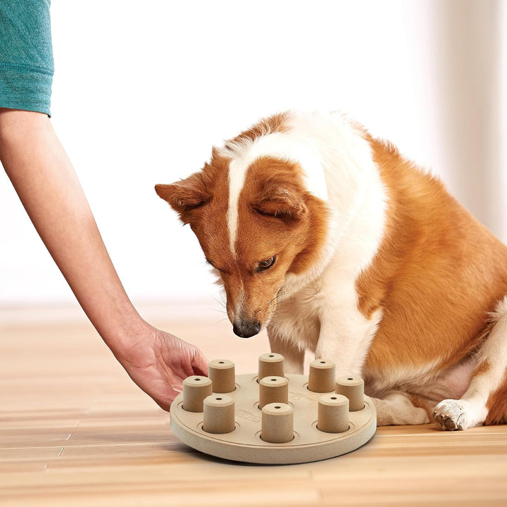 Outward Hound Nina Ottosson Dog Smart Treat Puzzle Enrichment Toy, Level 1 Beginner, Tan, Composite,