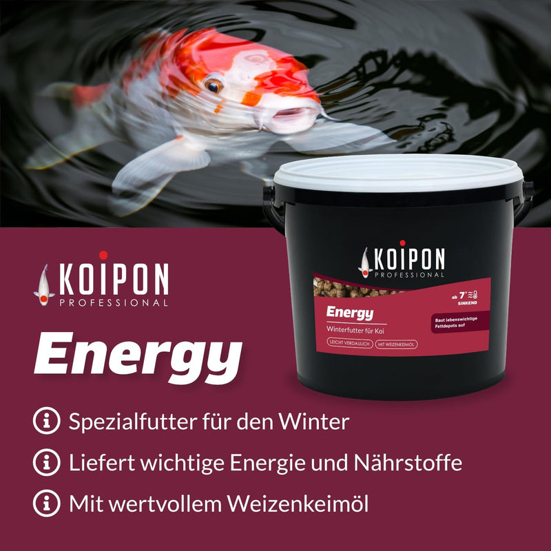 KOIPON Energy 15 kg Fischfutter Winter sinkend, Teichfutter 6mm Pellets für japanische Koi, Koifutte
