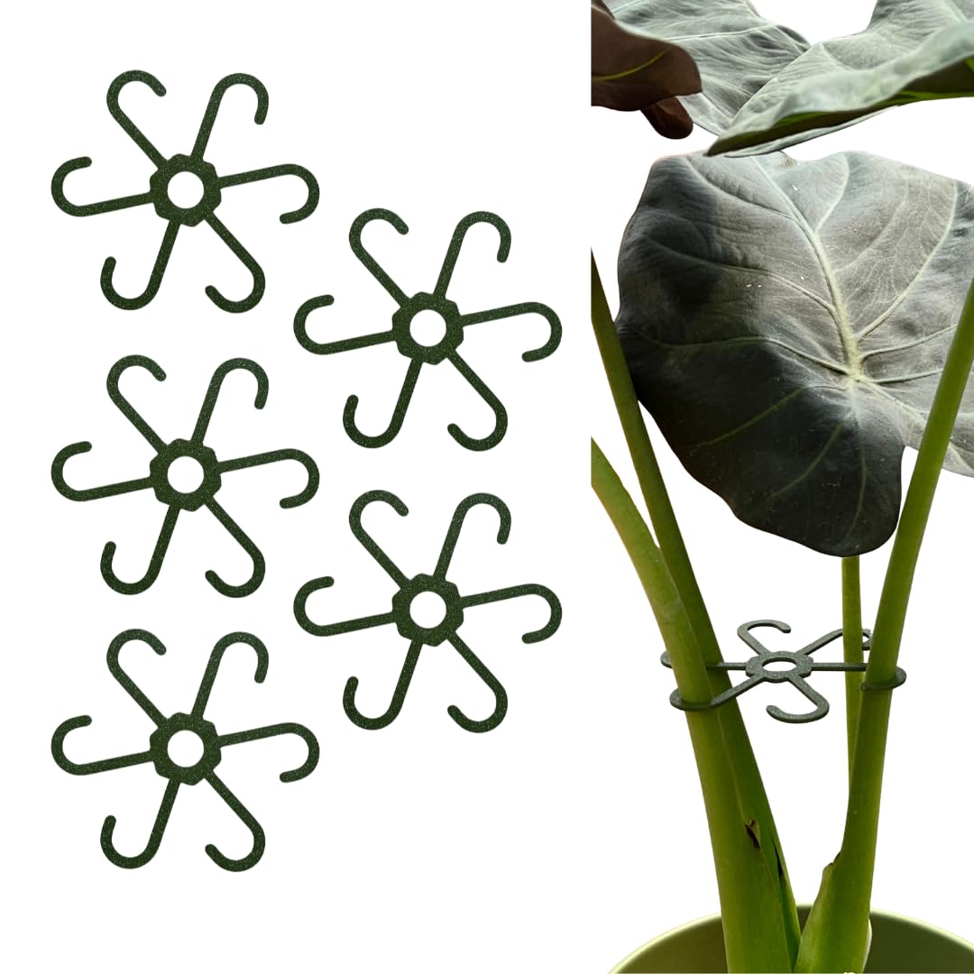 PLANTINITY - Pflanzenstütze Ring 15 cm Hero Light M - 5 Stück - Pflanzenhalter für Zimmerpflanzen -