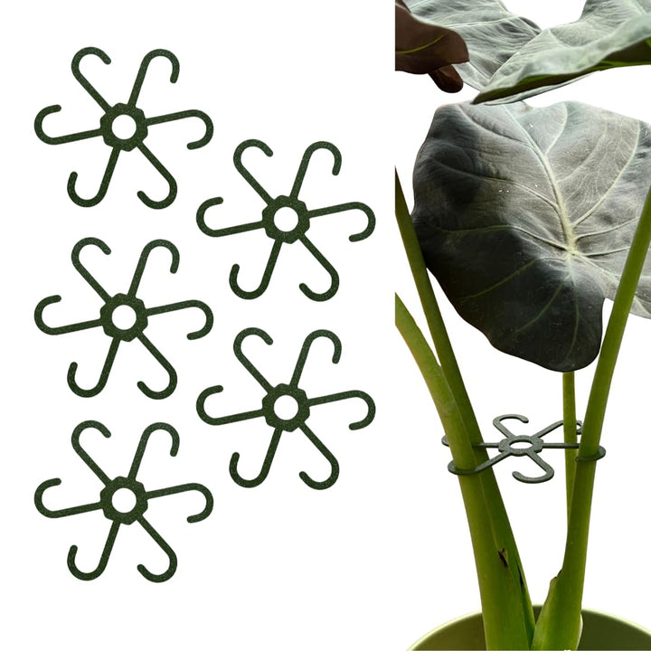 PLANTINITY - Pflanzenstütze Ring 15 cm Hero Light M - 5 Stück - Pflanzenhalter für Zimmerpflanzen -