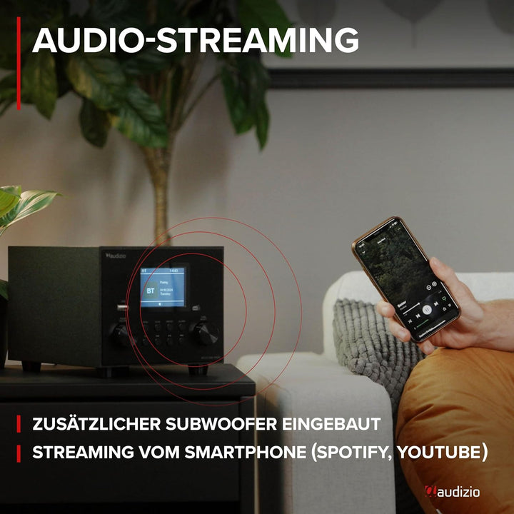 Audizio Vieste - DAB Radio mit Bluetooth, Digitalradio, 60 Watt Lautsprecher, DAB Plus Radio mit USB
