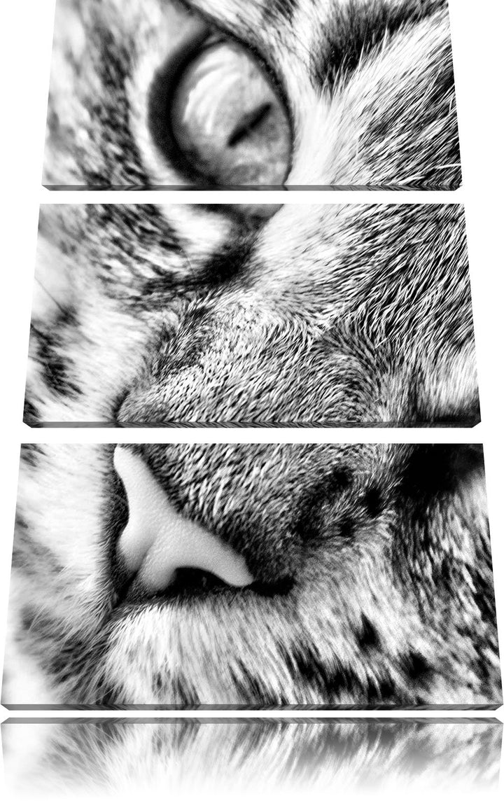 Pixxprint Grosse Katzenaugen / 3-Teilig/Gesamtmass 120cm Leinwandbild bespannt auf Holzrahmen/Wandbi