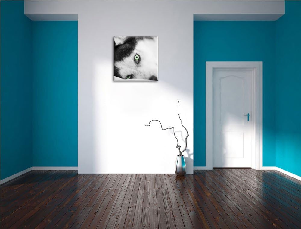 Pixxprint Husky im Bett mit Augen als Leinwandbild/Grösse: 70x70 cm/Wandbild/Kunstdruck/fertig bespa