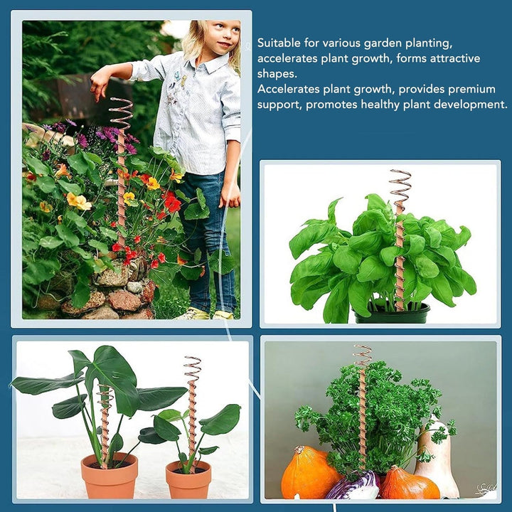Elektrokultur Kupfer Gartenantenne, 6er-Pack Elektroponische Pflanzenstäbe Kupferdrahtantenne Garten