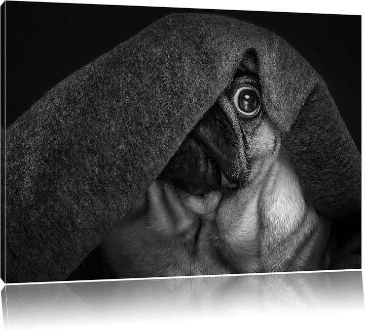 Pixxprint Mops Decke / 100x70cm Leinwandbild bespannt auf Holzrahmen/Wandbild Kunstdruck Dekoration,