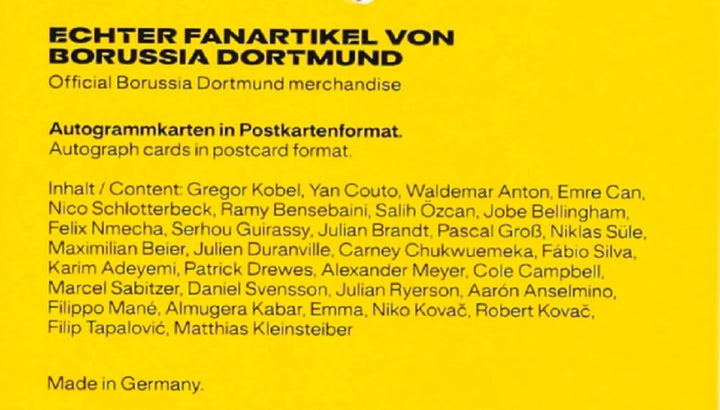 Borussia Dortmund BVB 09 BVB Autogrammkartenset -
