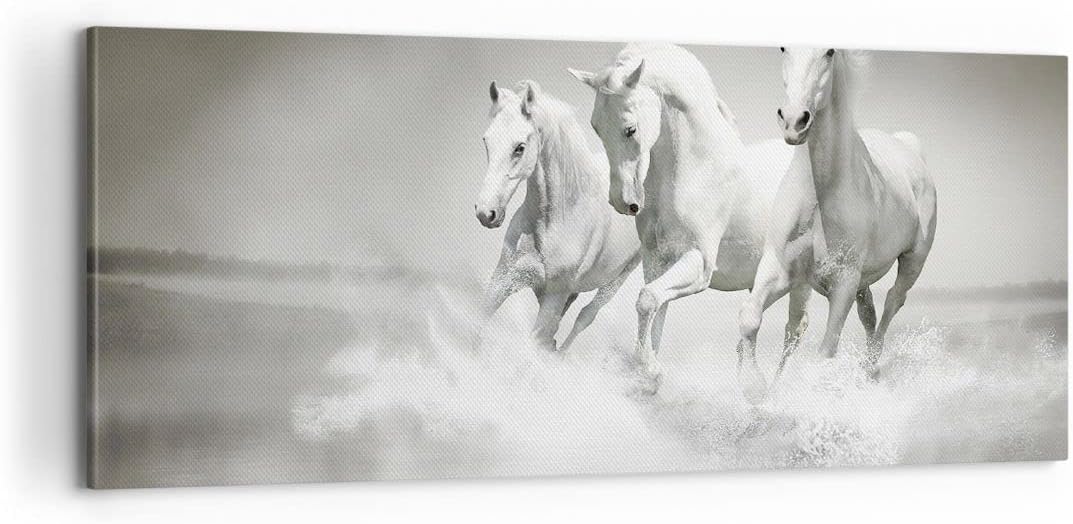 Panorama Bilder auf Leinwand 100x40cm Leinwandbild Bauernhof pferde galopp freiheit Gross Wanddeko B