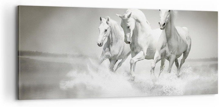 Panorama Bilder auf Leinwand 100x40cm Leinwandbild Bauernhof pferde galopp freiheit Gross Wanddeko B