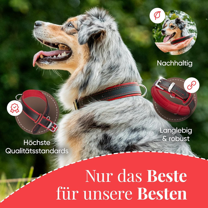 Michur Minimo Rot Hundehalsband Leder, Lederhalsband Hund, Halsband, Rot-Schwarz, Leder, in verschie