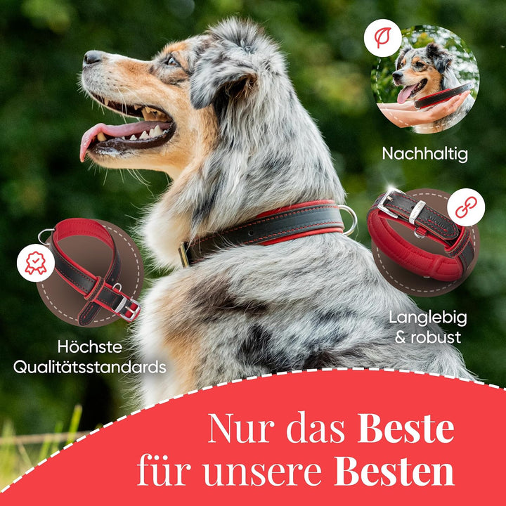 Michur Minimo Rot Hundehalsband Leder, Lederhalsband Hund, Halsband, Rot-Schwarz, Leder, in verschie