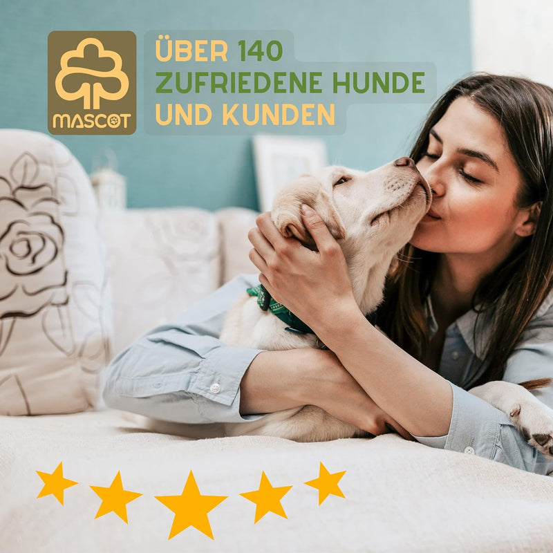 MASCOT (2er Pack) Hundehandtuch XXL extra saugfähig - Fellpflege Hunde Handtuch mit innovativen Schm