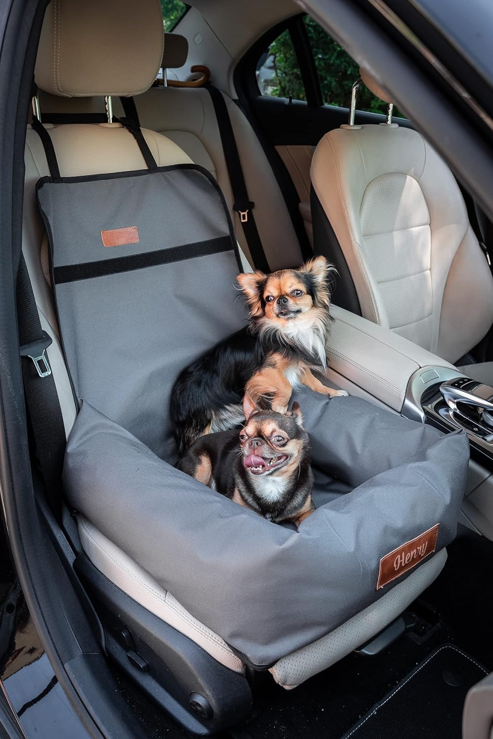 Petsen Personalisierte Hunde Autositz | Hundesitz Auto Rückbank mit Leine| Hundeautositz mit Hundena