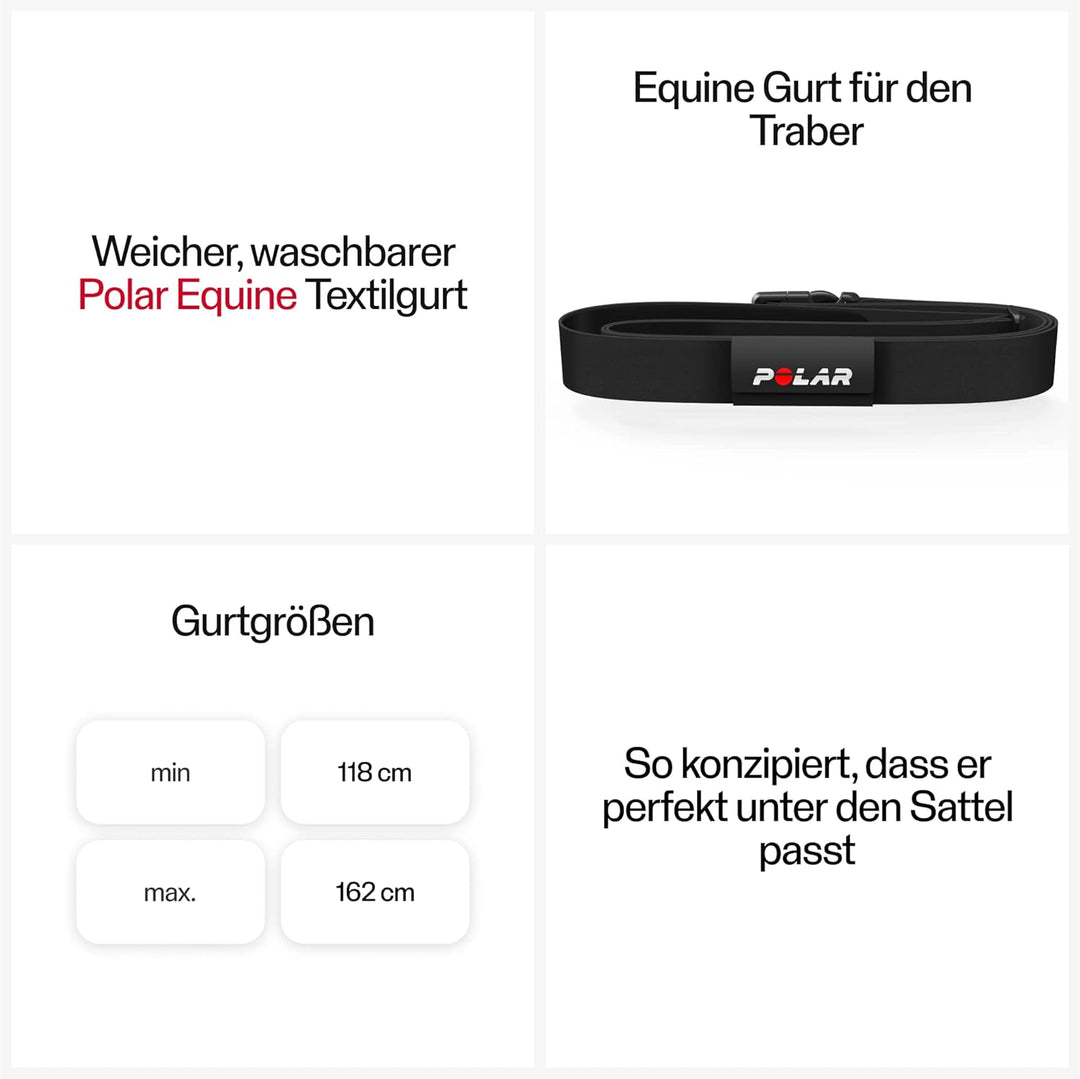 Polar Equine - Pferde, Reitsport, Trab - Gurt für H10 Herzfrequenz-Messgerät Schwarz Trab, Schwarz T