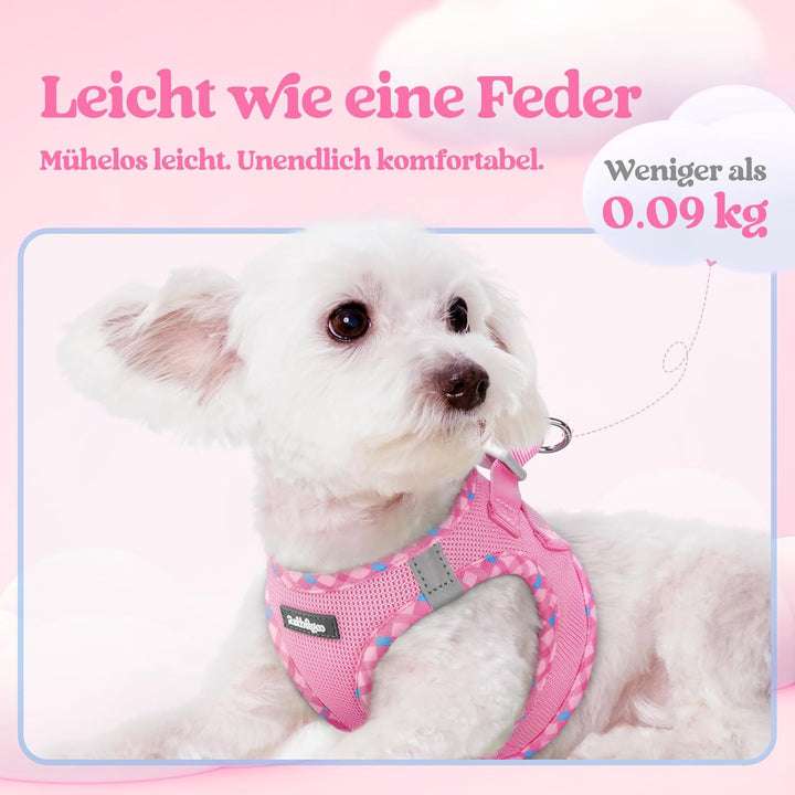 rabbitgoo Hundegeschirr Kleine Hunde mit Leine, Step-in Welpengeschirr Weich Mesh für Spaziergänge,