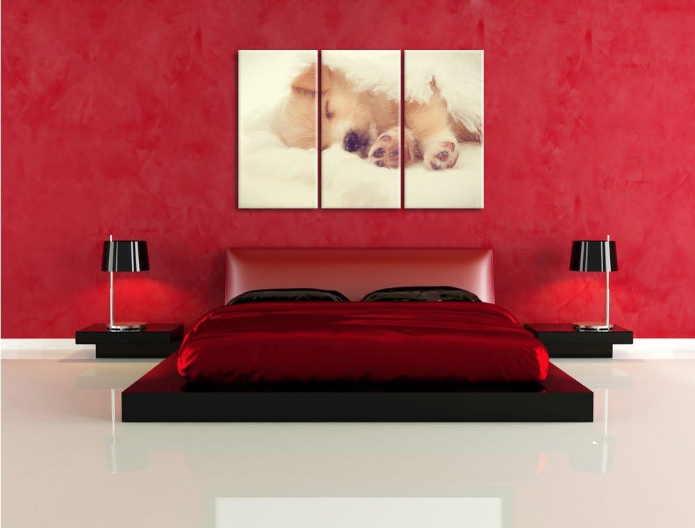Pixxprint Kleiner schlafender Welpe als Leinwandbild/Grösse: 3 Teilig (120x80) / Wandbild/Kunstdruck