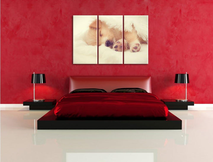 Pixxprint Kleiner schlafender Welpe als Leinwandbild/Grösse: 3 Teilig (120x80) / Wandbild/Kunstdruck