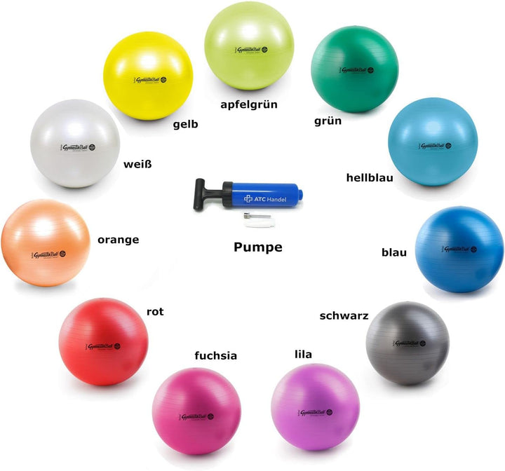 Original Pezzi Gymnastikball Maxafe Ø 42, 53, 65 &amp; 75cm in Allen Farben inkl. ATC Ballpumpe - bis 40