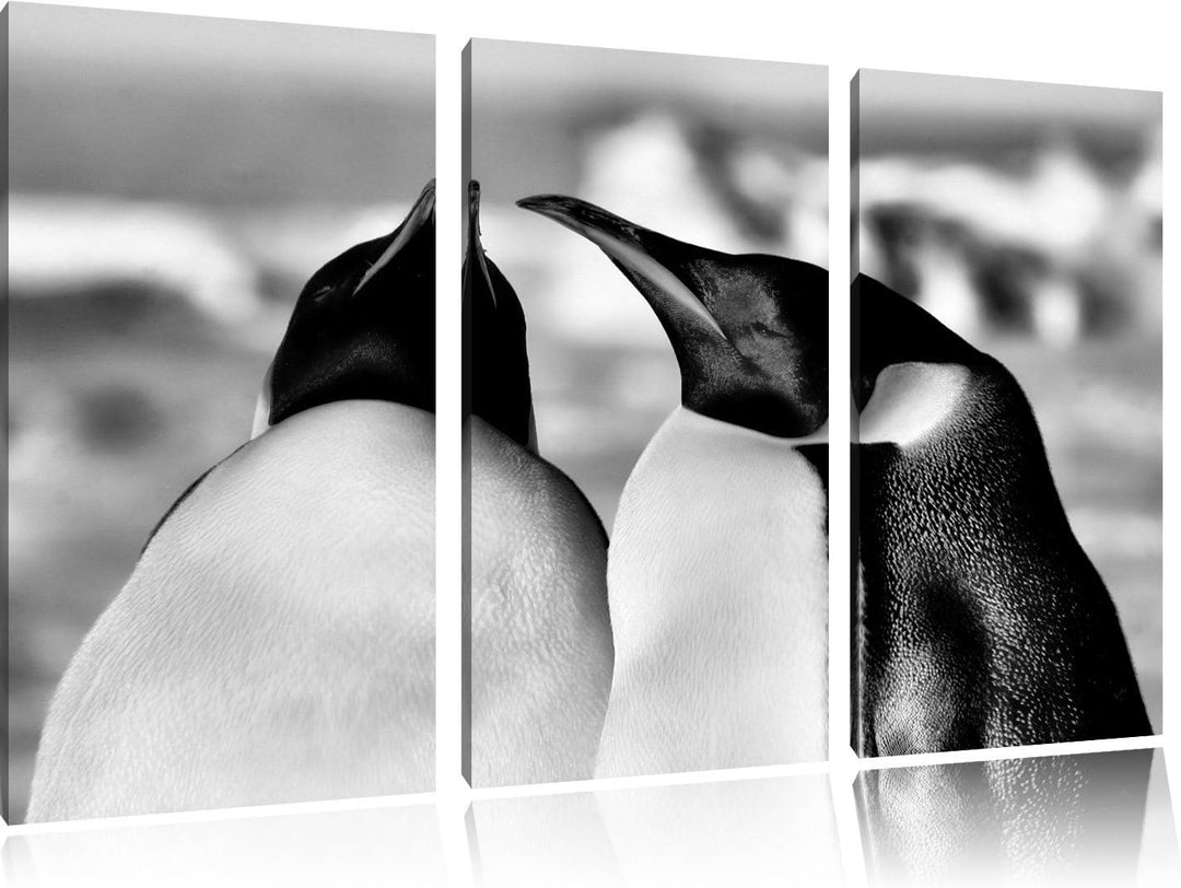 Pixxprint Monocrome, Zwei prachtvolle Kaiserpinguine 3-Teiler Leinwandbild 120x80 Bild auf Leinwand