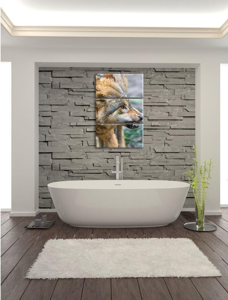 Pixxprint knurrender Wolf 3-Teiler Leinwandbild 120x80 Bild auf Leinwand