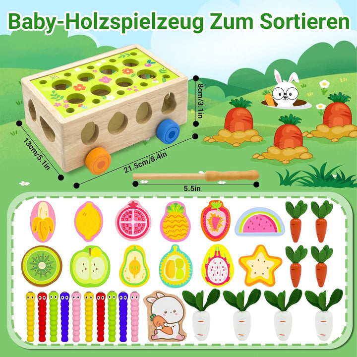 RunHero Montessori Holz Sortierspie Karotten Steckspiel Holzspielzeug ab 1 Jahr Holztiere Motorikspi