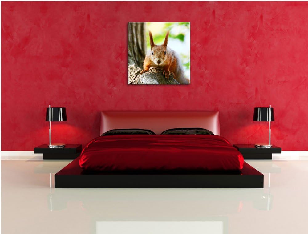 Pixxprint interessantes Eichhörnchen auf dem Baum, Format: 70x70 auf Leinwand, 70x70
