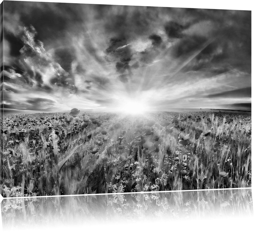 Pixxprint Blühende Mohnwiese / 100x70cm Leinwandbild bespannt auf Holzrahmen/Wandbild Kunstdruck Dek
