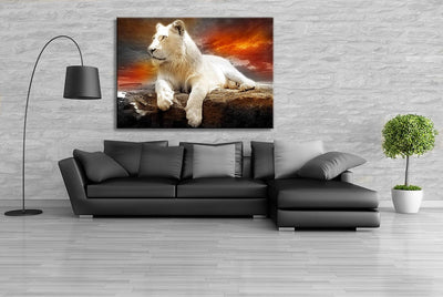 Julia-Art - Leinwandbilder - XXL Leinwand Bild (120 x 80 cm 1 teilig) Wandbilder mit Keilrahmen - Ku