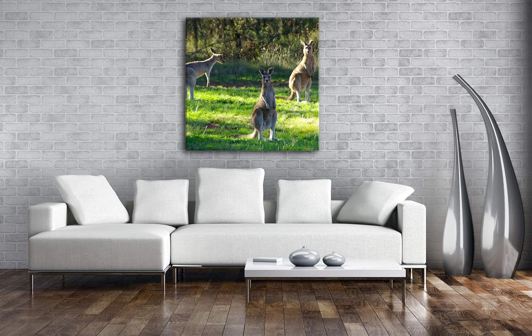 deyoli niedliche Kängurus Format: 60x60 als Leinwandbild, Motiv fertig gerahmt auf Echtholzrahmen, H
