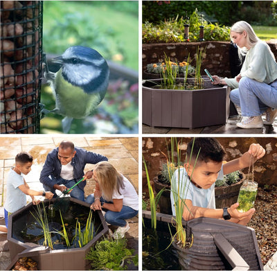 Aquagarden, kein Graben natureteich, erhöhter Teich für Garten oder Terrasse, einfache Konstruktion