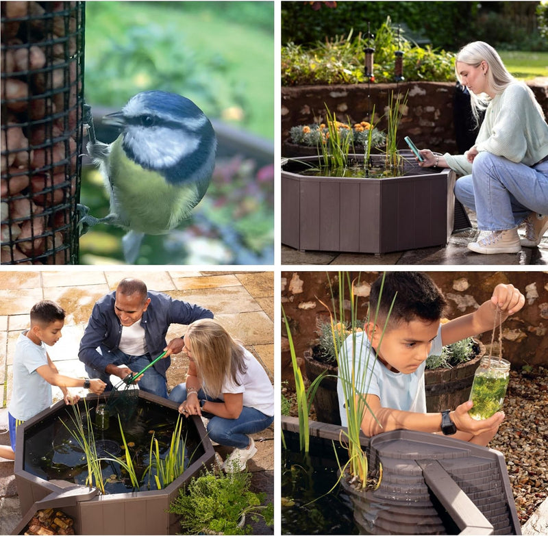 Aquagarden, kein Graben natureteich, erhöhter Teich für Garten oder Terrasse, einfache Konstruktion