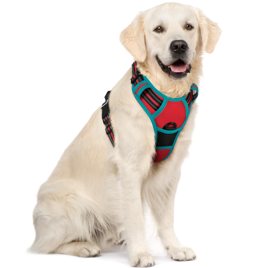 rabbitgoo Hundegeschirr Mittelgrosse Hunde, Anti Zug Geschirr mit Kontrolle, No Pull Verstellbar Hun