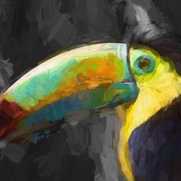 Pixxprint Glasbild | Wandbild auf Echtglas | Tukan | 40x40 cm | inkl. Aufhängung und Abstandshalter,