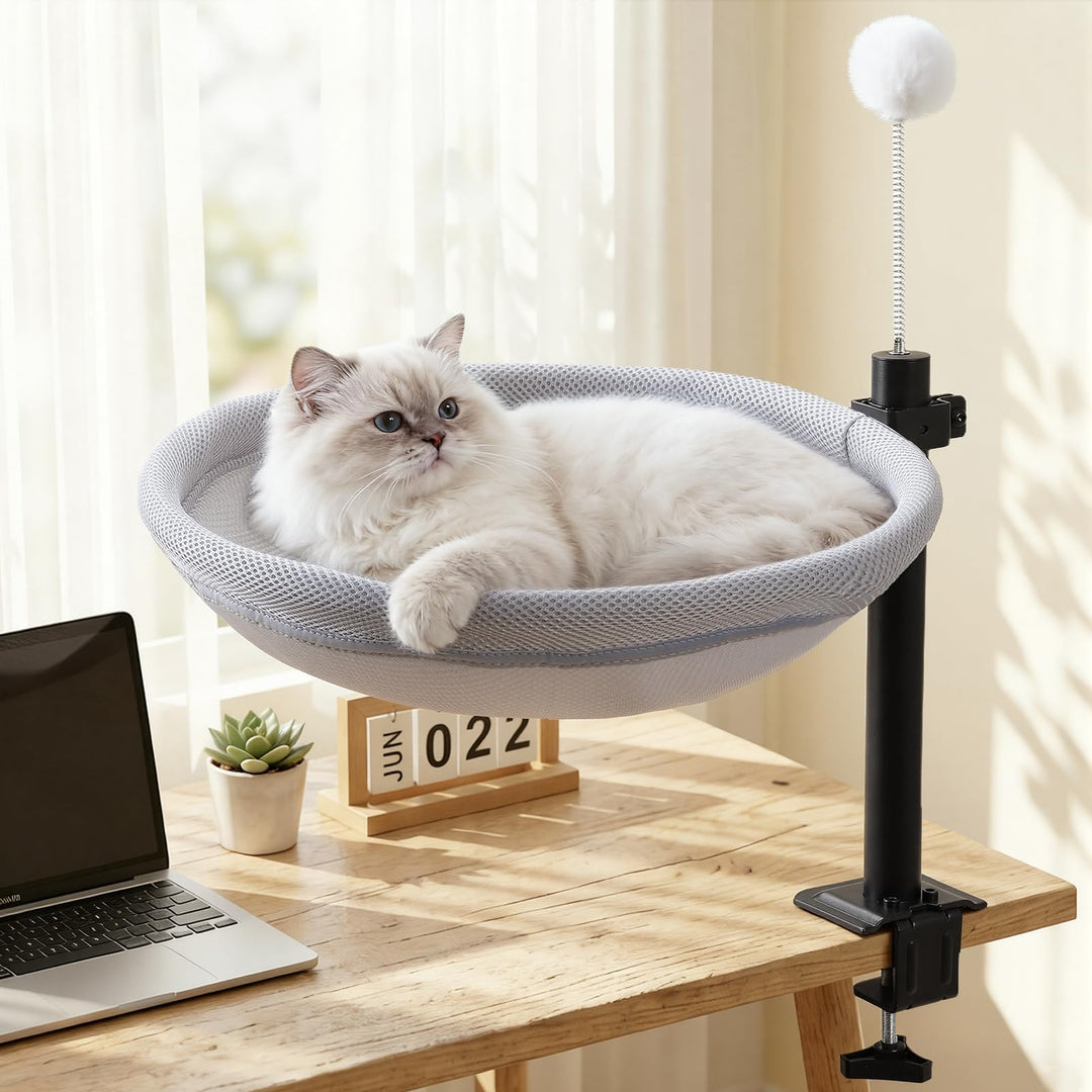 Katzenbett für Schreibtisch, Hängebett für Katzen 360 ° drehendes & höhenverstellbar mit Hängeball,