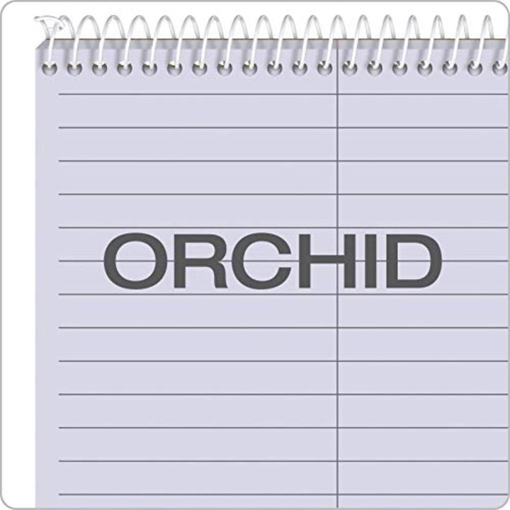 Tops Gregg Prism Steno Notizbücher (TOP80264) 15,2 x 22,9 cm violett, violett